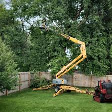 Best Arborist Consultation Services  in Upland, CA